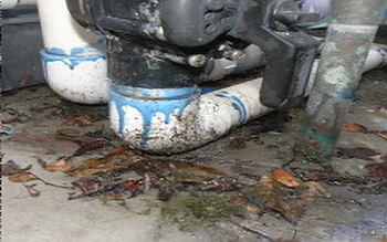 Leaky pump - My House Needs Fixin